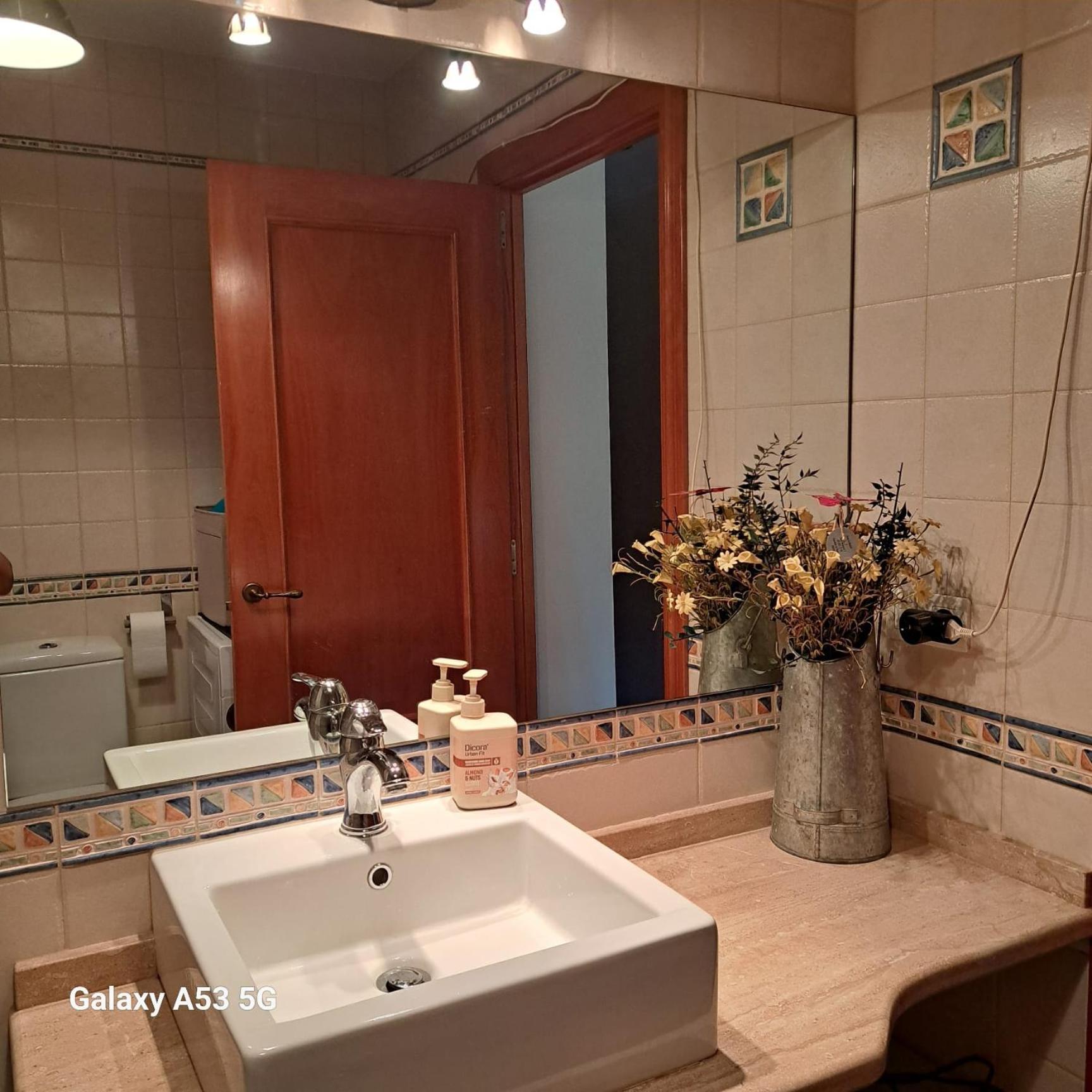 Ensija Pedraforca Apartment Saldes